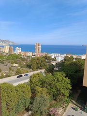 �tic  Avinguda marina baixa