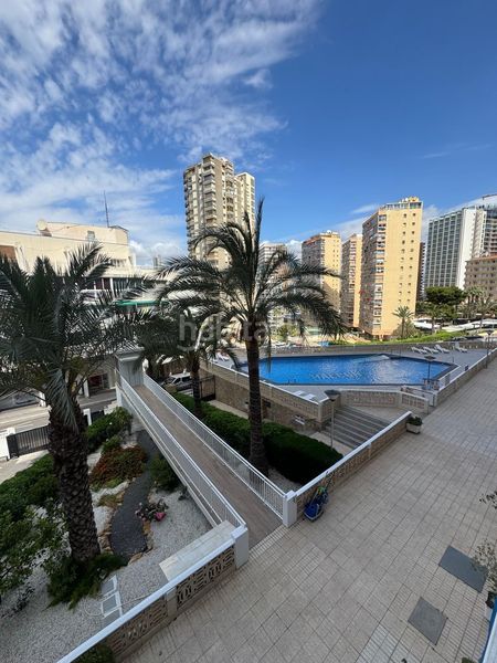 Foto f769fe3c-f871-41ed-acca-e4f9ccdcf83d. Apartament amb piscina a Rincón Alto Benidorm