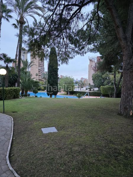 Foto 6b3e7038-069d-4c4d-a4ac-7187fe63926e. Pis amb piscina a Playa Poniente Benidorm
