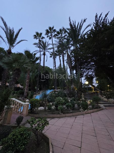 Foto ab30bd68-bc3e-48a0-9f8a-acdf7473232d. Pis amb piscina a Playa Poniente Benidorm