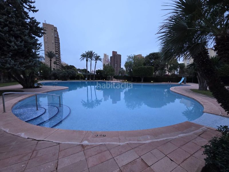 Foto d1111391-52b6-4446-8951-7709e07df6f6. Pis amb piscina a Playa Poniente Benidorm