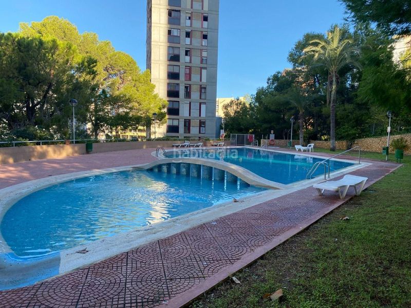 Foto 4431726c-c9ff-4eea-9ece-4b0875173268. Pis a Sierra Helada Benidorm