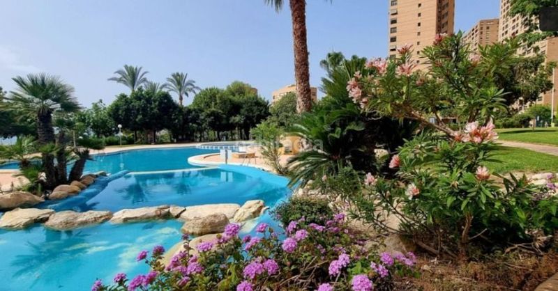 Foto 5083fc96-d9a9-4df8-9fb3-4331432392d9. Apartament amb piscina a Playa Poniente Benidorm