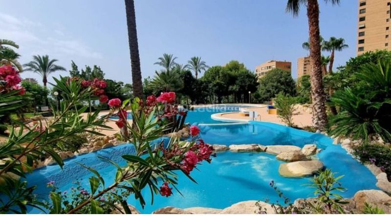 Foto 60f4a93c-1842-451b-a3e7-163062fd3aef. Apartament amb piscina a Playa Poniente Benidorm