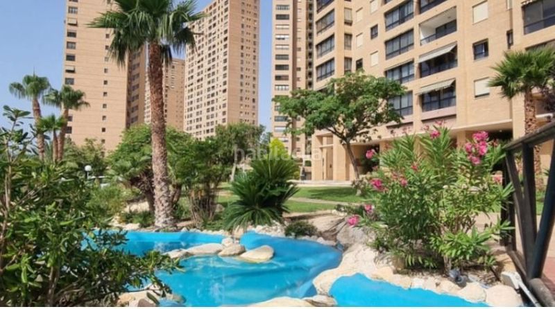 Foto 6469096f-f609-41c7-af6f-57d88f4492f0. Apartament amb piscina a Playa Poniente Benidorm