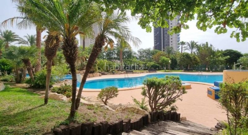 Foto d980c92d-f7de-4719-a8c6-9b6bb6fa132f. Apartament amb piscina a Playa Poniente Benidorm