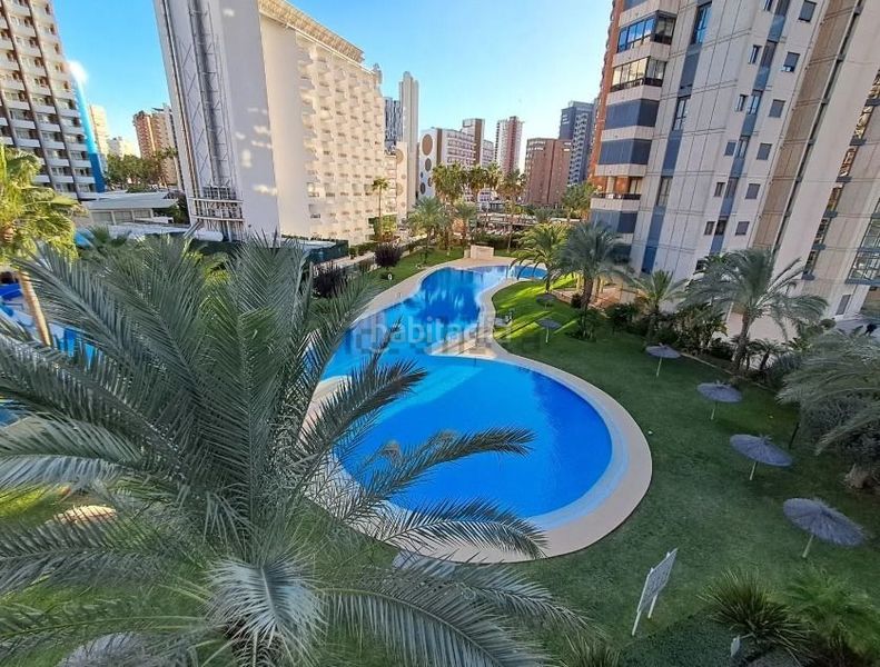 Foto 8bf02509-8bb5-444a-8119-69e37149b692. Pis amb piscina a Rincón Bajo Benidorm