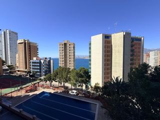 Appartement  Calle del alcalde manuel catalan chana