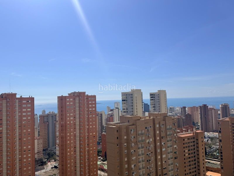 Foto 2b872079-07d3-46df-9106-e4c64ac265e9. Àtic amb piscina a Juzgados - Plaza de Toros Benidorm