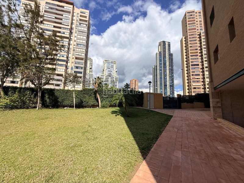 Foto 51233c37-be30-4836-aa4e-566cd1c7c09d. Àtic amb piscina a Juzgados - Plaza de Toros Benidorm