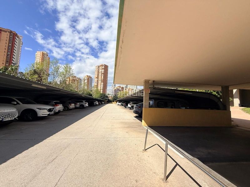 Foto 762dbb58-d493-46bc-8114-8a345dfebb6e. Àtic amb piscina a Juzgados - Plaza de Toros Benidorm