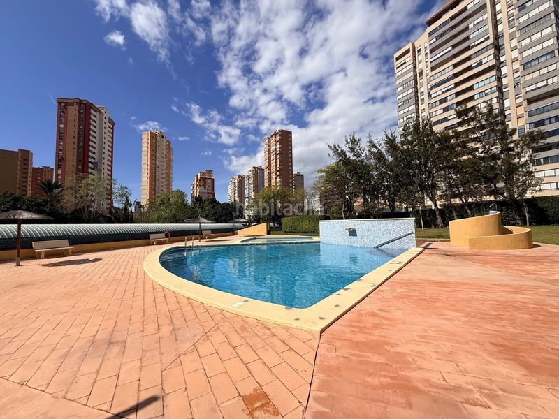 Foto bf17cce2-6a43-42e5-98d7-753152ecc8e4. Àtic amb piscina a Juzgados - Plaza de Toros Benidorm