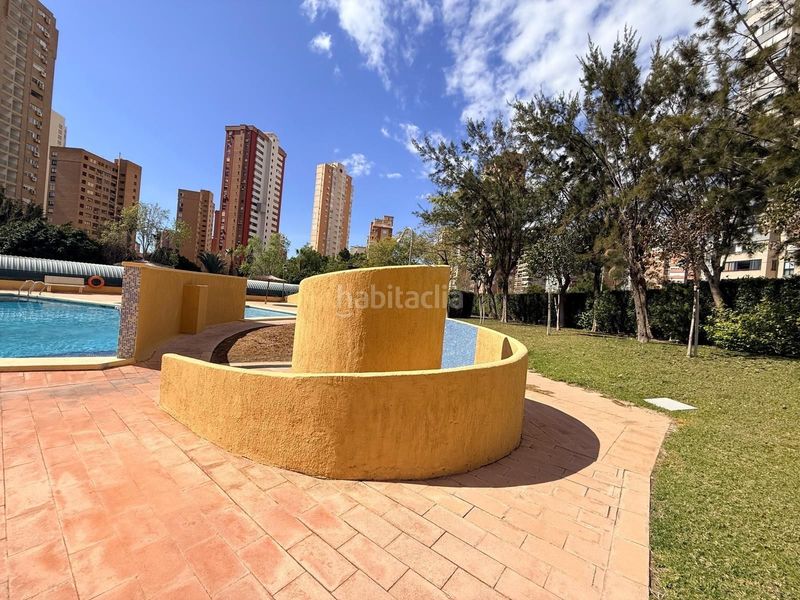 Foto cbb99304-2b66-40b2-b825-373428efd957. Àtic amb piscina a Juzgados - Plaza de Toros Benidorm