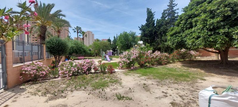 Foto a169fe41-30d8-4165-8fd2-a7117daa1374. Pis amb piscina a Playa Poniente Benidorm