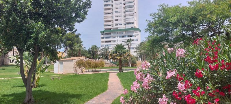 Foto b3a58c82-0473-4412-953e-08910ed13788. Pis amb piscina a Playa Poniente Benidorm