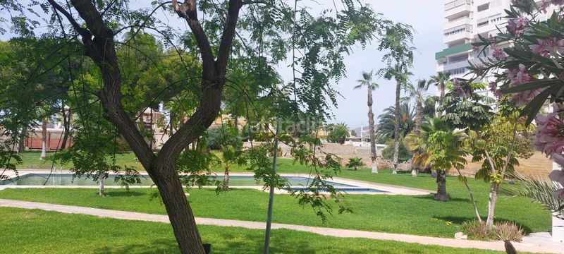 Foto 40470947-b62b-4645-a3f2-1af692c21c1a. Piso en Playa Poniente Benidorm