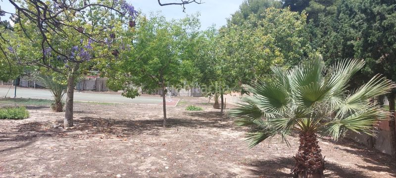 Foto be2c8a7d-affe-43bb-94ef-95b3bd25788b. Piso en Playa Poniente Benidorm