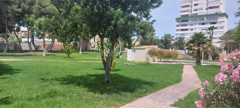 Foto fe96faa4-c48b-455e-bf68-86bc5418660c. Piso en Playa Poniente Benidorm