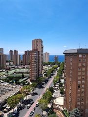 Flat in Avenida europa