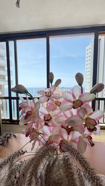 Foto cd7cff44-cdd5-40fd-86d6-891658058527. Pis amb piscina a Rincón Alto Benidorm