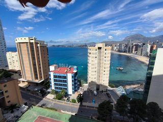 Pis a Calle del alcalde manuel catalan chana. Piso en  benidorm  ideal tanto para residencia habitual como par