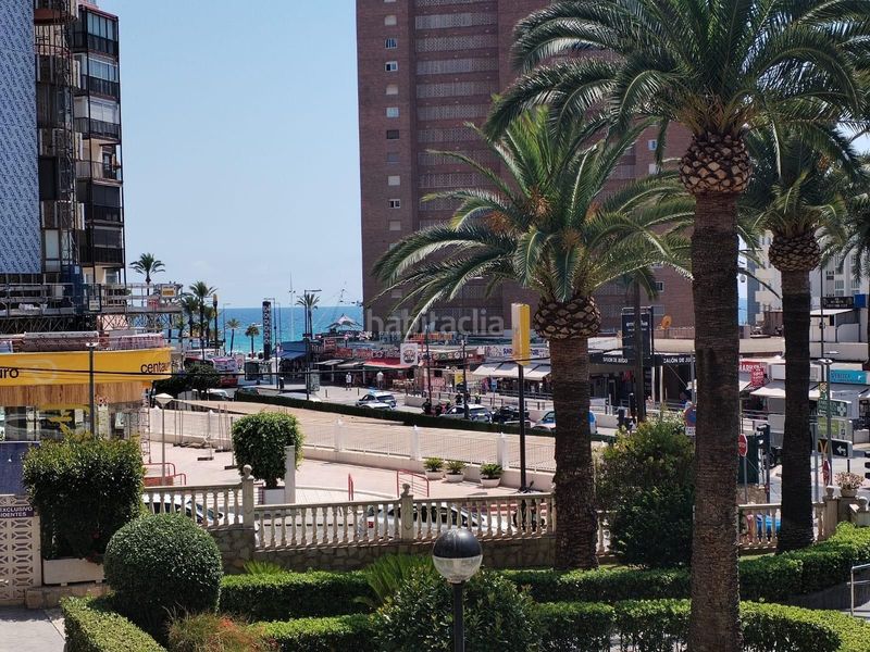 Foto b05e3629-7c74-4b92-a6ac-b7c1c350c039. Pis a calle de berlin a Rincón Alto Benidorm
