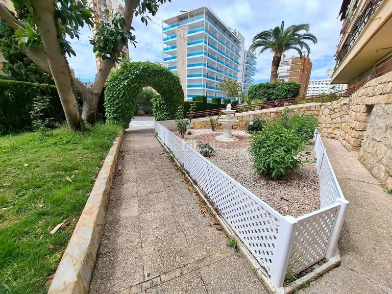 Foto bcb67969-8afd-46f3-b935-8436e819e207. Pis a calle de berna a Rincón Alto Benidorm
