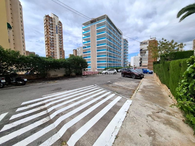 Foto ec46342a-ce17-407f-99d2-807cc93785c3. Pis a calle de berna a Rincón Alto Benidorm