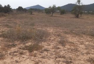Rural plot in Calle d'es codolar 4
