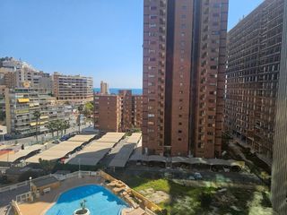Pis a Carrer terral