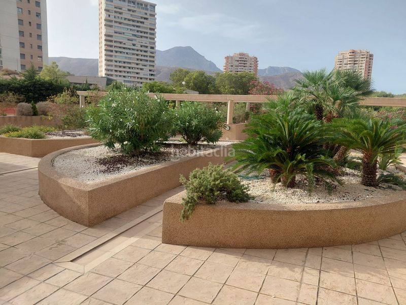 Foto c59d5a2c-b5a4-4e7b-b535-f853eb00fdc3. Piso en Via Parque Benidorm