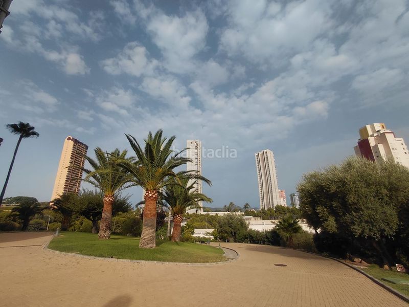 Foto e7b61649-d53c-4c1e-8596-db0ccad75325. Piso en Via Parque Benidorm