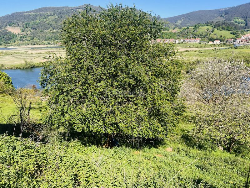 Foto 06937c9c-83ea-4469-aadc-45d66702ec59. Casa a angustina 1 a Voto