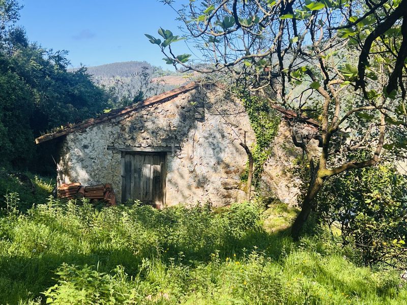 Foto c9105c96-4625-4ada-9355-4a2e40cb6742. Casa a angustina 1 a Voto