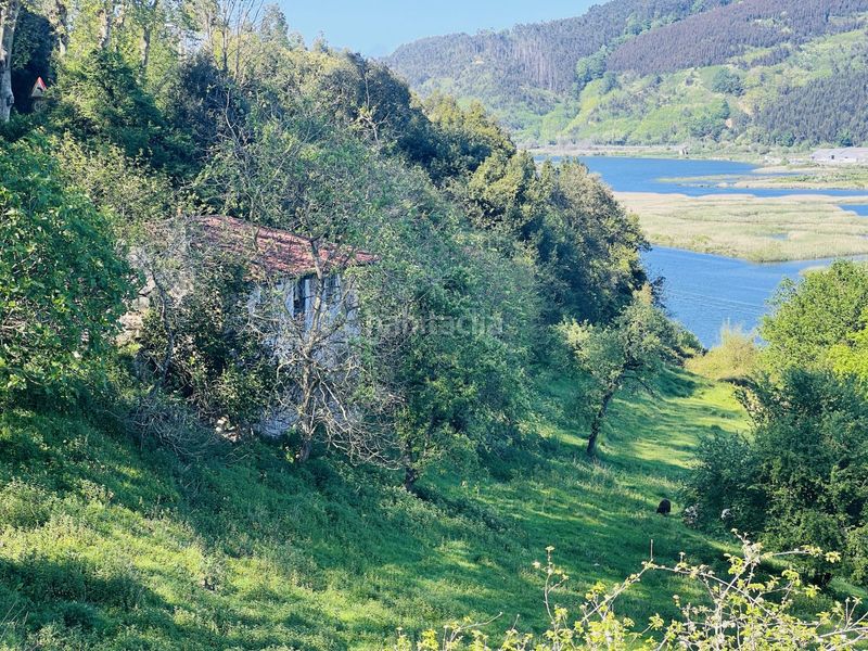 Foto d8d99809-842b-498c-9bd1-43cb439ae548. Casa a angustina 1 a Voto