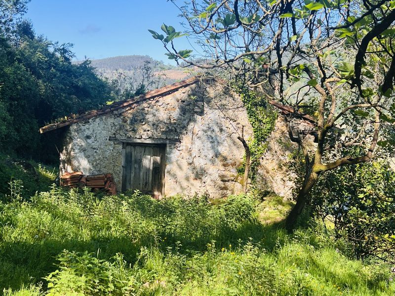 Foto e00f56a1-aa98-4d4b-bf1e-30600161bddf. Casa a angustina 1 a Voto