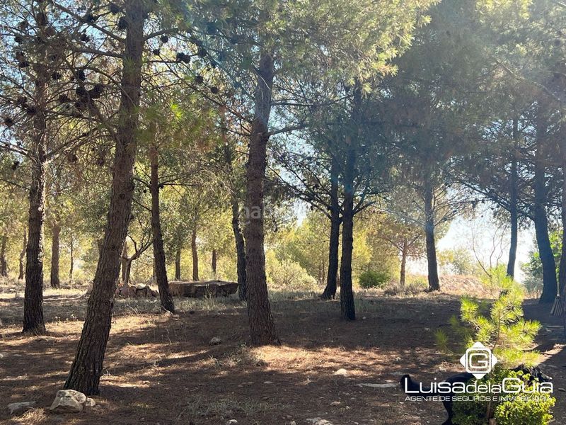 Foto c5a3c97c-830f-4654-8c76-4b1972e92705. Finca rústica a Campo de Criptana
