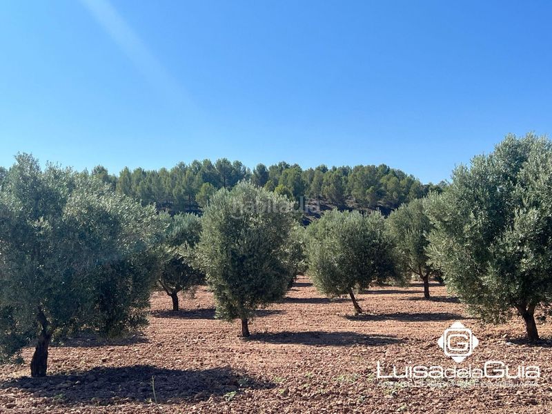 Foto cedaedb8-a637-425c-832a-ae85e59b946b. Finca rústica a Campo de Criptana