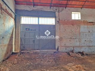 Terreny residencial a Campo de Criptana. Gran oportunidad! venta de bodega de 531 m