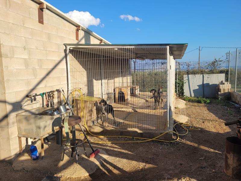 Foto 01ef5771-b991-40bb-abd3-99c90028a7be. Landgut in cami almoster 9 in Selva del Camp (La)