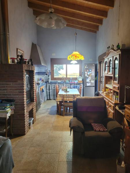 Foto 7785abab-5b23-47a8-b0ad-167bd16ebb2f. Landgut in cami almoster 9 in Selva del Camp (La)