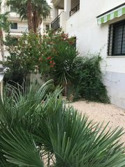 Planta baixa a Avinguda París