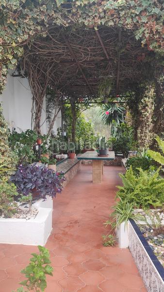 Foto efd22cce-c79e-438e-9947-37172d7103a7. Xalet a urbanización san antonio 59 a Hacho - Amaro Ceuta