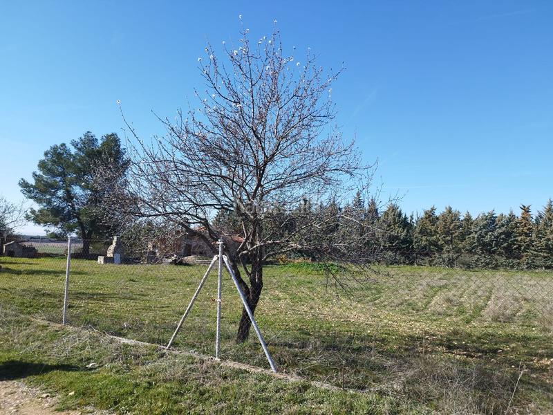 Foto 15dba8a1-ac73-46de-8063-e8b12faecf41. Terreno residenziale in Illana