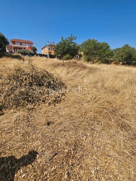 Foto 3139f368-f613-46c7-b35e-ae974ab07c83. Terreny residencial a Mondéjar