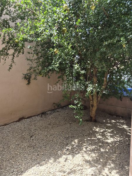 Foto 0e7e6789-ab4f-4f69-b052-1eee96e9ce6f. Casa amb aparcament a Almoguera