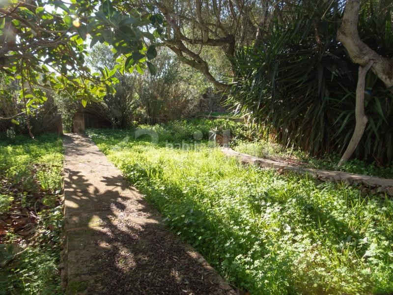 Foto a72427c9-df3a-45f7-a440-b303f5b61299. Masía casa de campo en zona sur en Cala d´En Bosch-Serpentona Ciutadella de Menorca