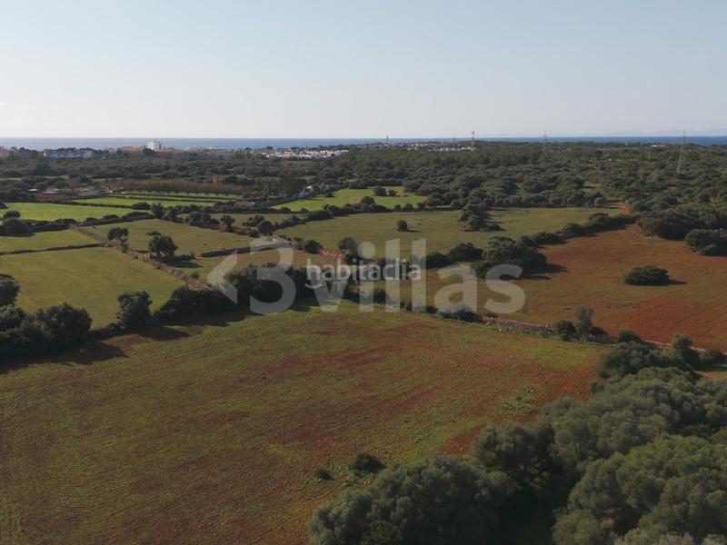Foto d1e1018c-582c-4bf8-8829-70cbf41f8225. Masía casa de campo en zona sur en Cala d´En Bosch-Serpentona Ciutadella de Menorca
