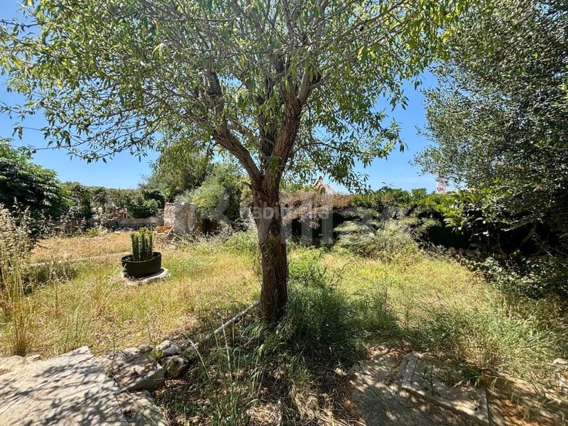 Foto c32d720e-fa15-4a65-8fe7-ec4e3171e672. Chalet  en venta en binibeca a 500m del mar en Sant Lluís