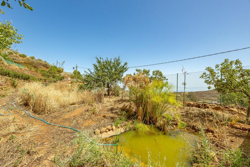 Foto d8d11413-af25-4727-946a-ddf740f602c6. Masia amb aparcament piscina a Vega de San Mateo